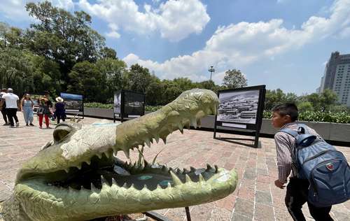 Las instalaciones del Bosque de Chapultepec atraen a decenas de visitantes.