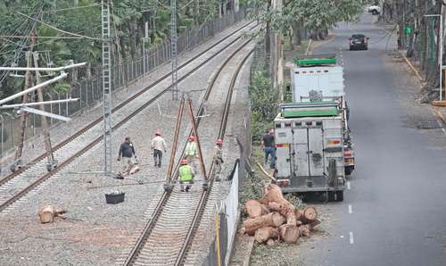 Debido a la tromba del sábado y la caída de un árbol sobre la calzada México-Xochimilco, a la altura de la estación Xomali del Tren Ligero, que dañó una catenaria, se tuvo que suspender el servicio de Tasqueña a Estadio Azteca y se brindó servicio emergente en este tramo.