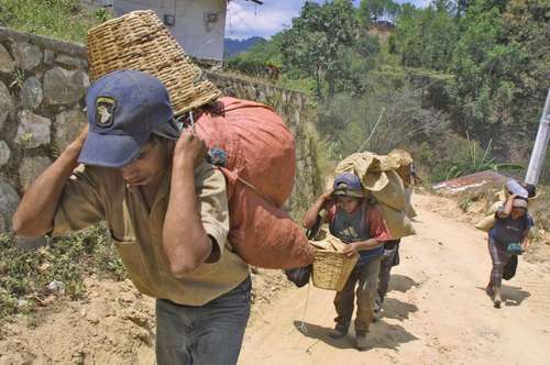 La pobreza extrema enMéxico no tuvo una reducción, sino un incremento de una décima de punto, señala académica de la UAM.