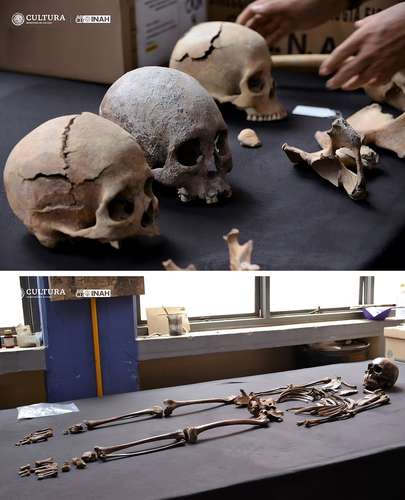 Más de 100 restos óseos revelan la vida prehispánica en los terrenos del AIFA