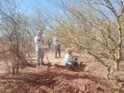 Son 44 osamentas y siete cuerpos hallados en fosas clandestinas en Hermosillo