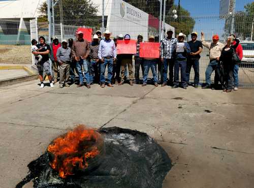 Exigen a Segalmex reanudar acopio de cosechas de frijol en Zacatecas