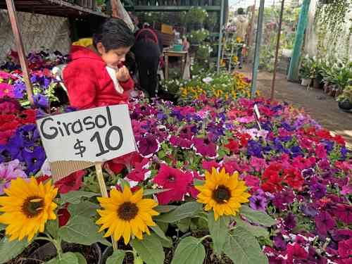 Floricultores, listos para recibir la Primavera