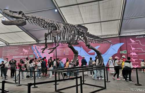 Colmillos y garras sorprenden a niños y sus familias en la muestra Dino Zócalo