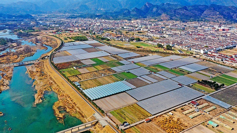 base de frutas y verduras llena de invernaderos en la ciudad de Hengxi