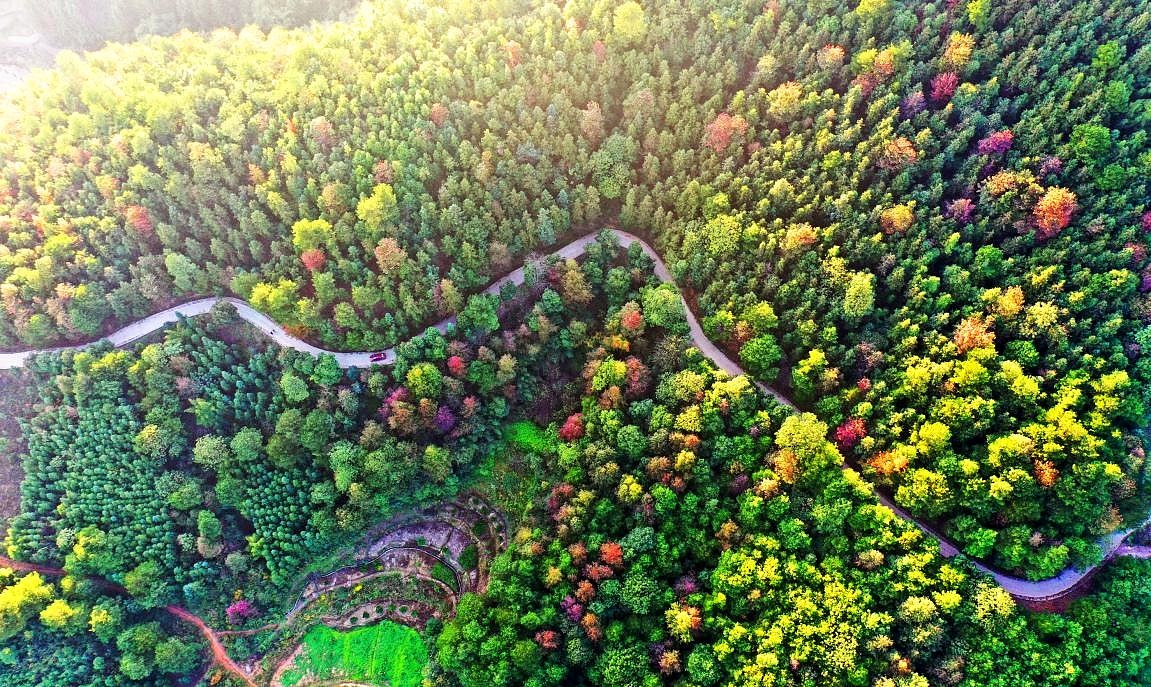 Parque Forestal Nacional de Jiahe, ciudad de Chenzhou