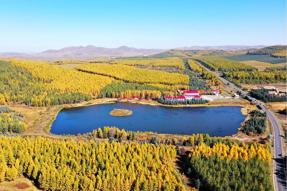 Parque Forestal Nacional de Saihanba