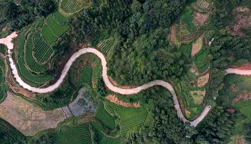 carreteras construidas en jardines de té en la aldea de Yancha