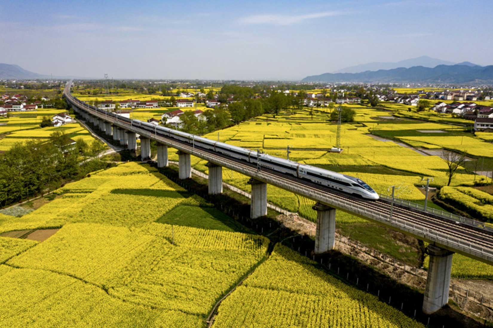 Las flores de colza florecen en la ciudad de Hanzhong
