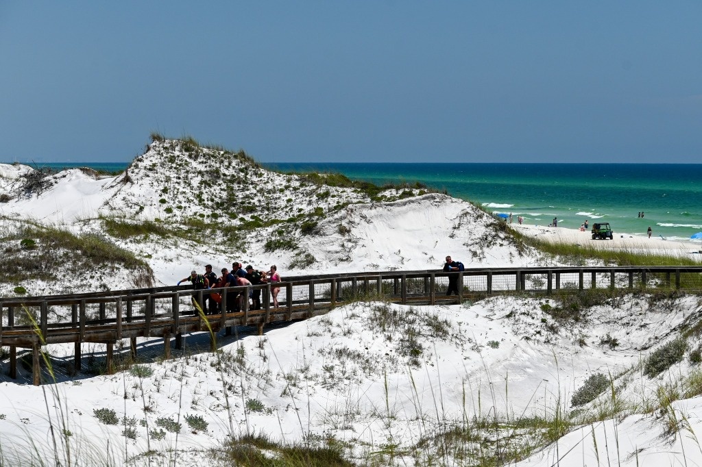 They warn of shark assaults on Florida seashores