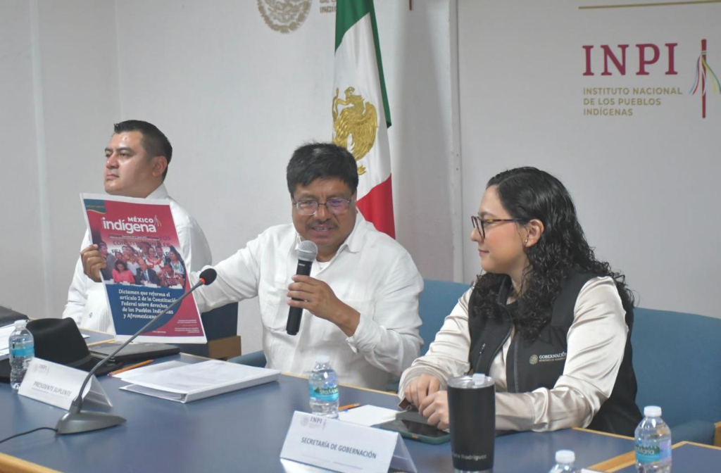 INPI approves financial statements for fiscal year 2024