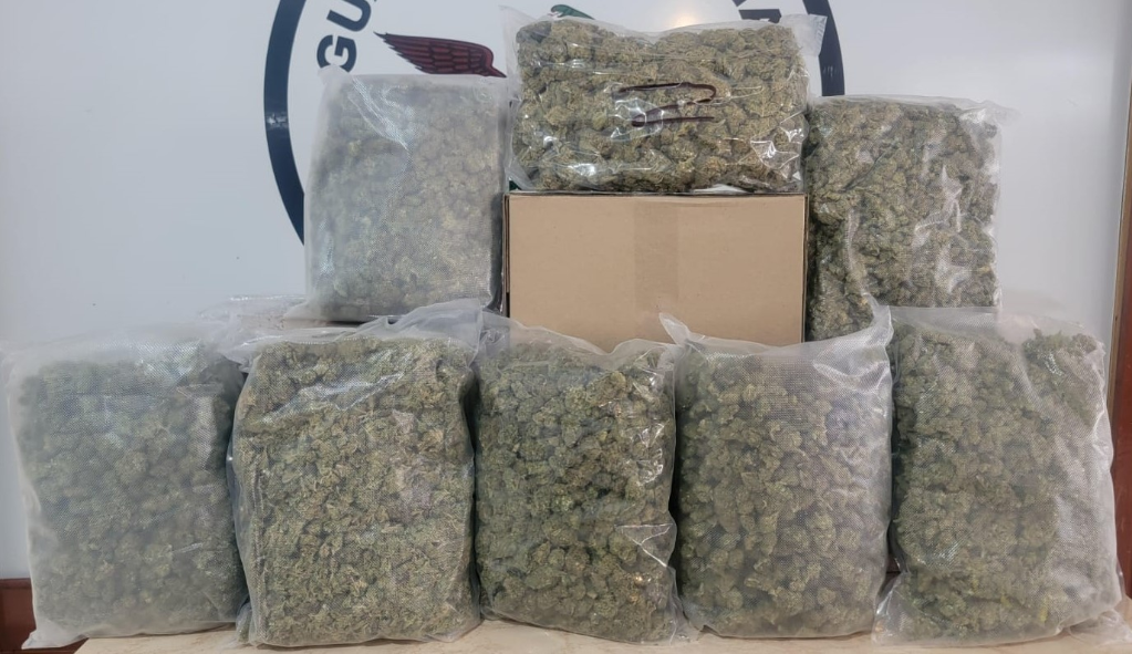 GN secures eight packages of marijuana in Guanajuato