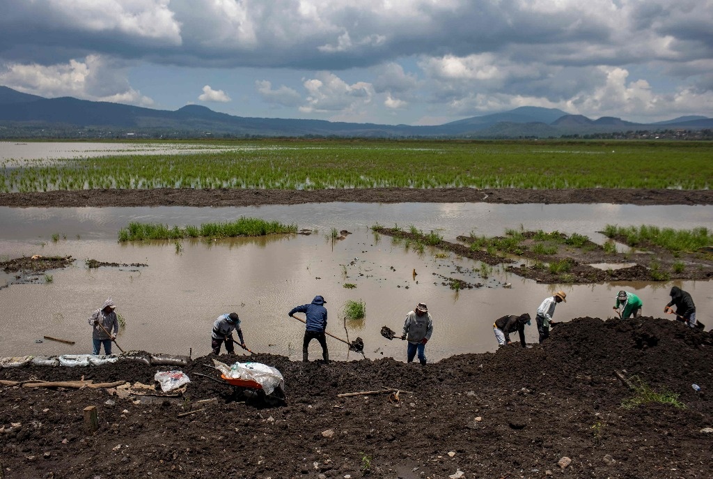 World Financial institution prepares drought bonds