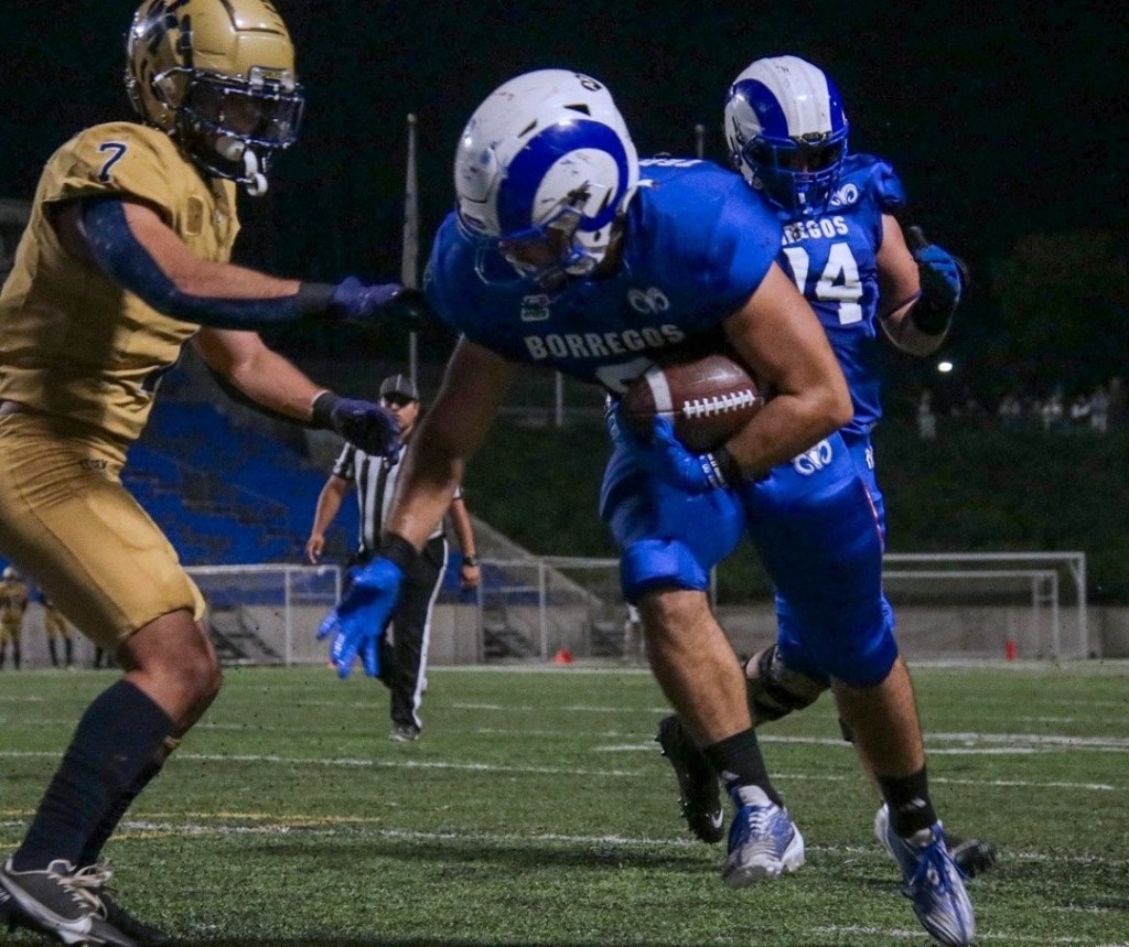 Borregos and Auténticos Tigres, to the final of the Onefa