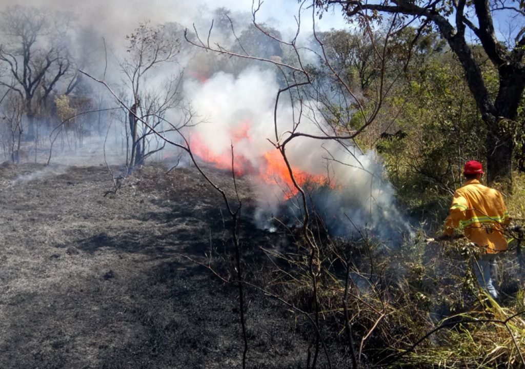 Brazil: Forest fires affect 30 cities and leave 2 dead