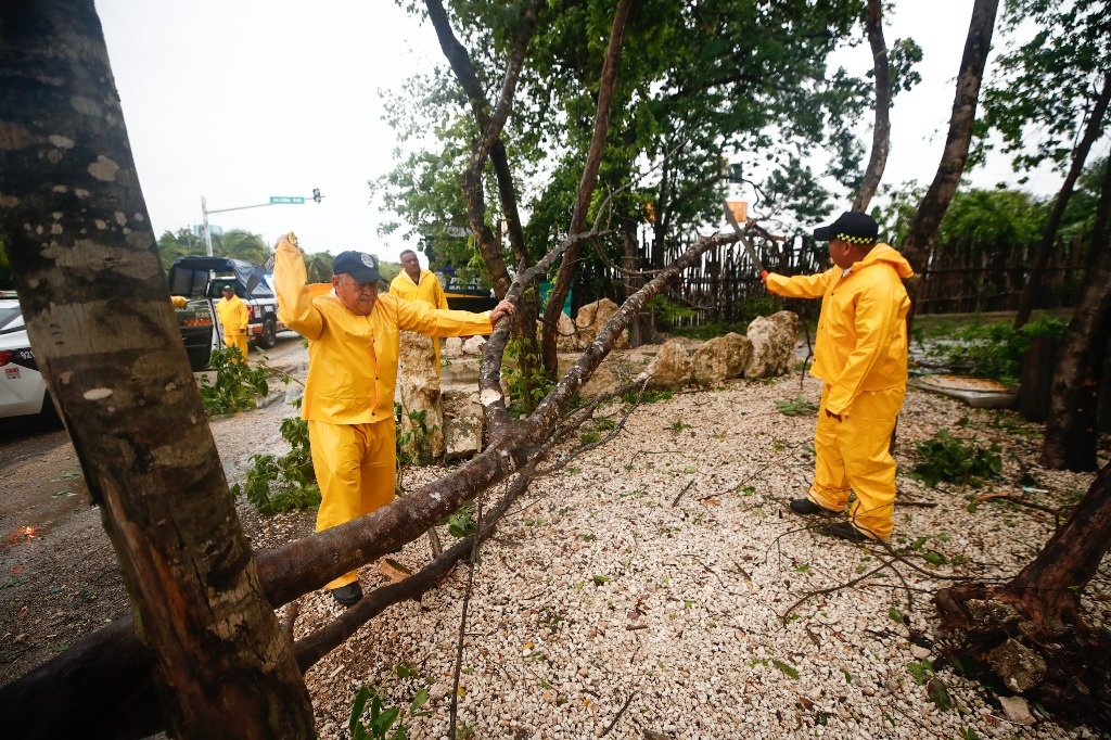 CFE restores energy provide to 93.5% of these affected by ‘Beryl’