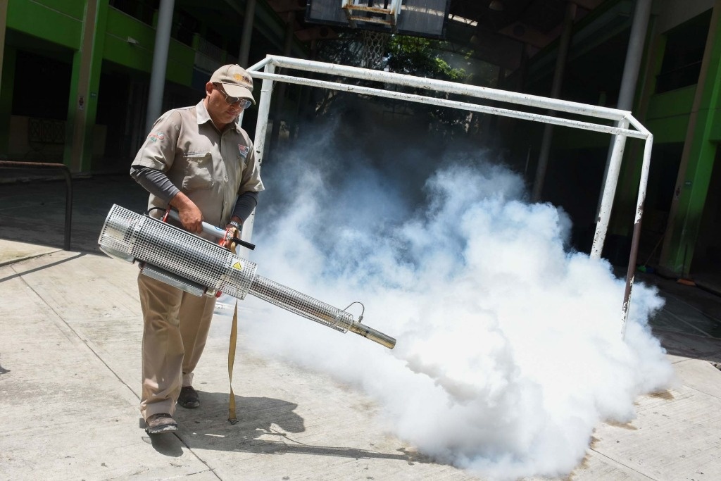 Dengue: 110 mil casos y 262 decesos en el país este año - La Jornada