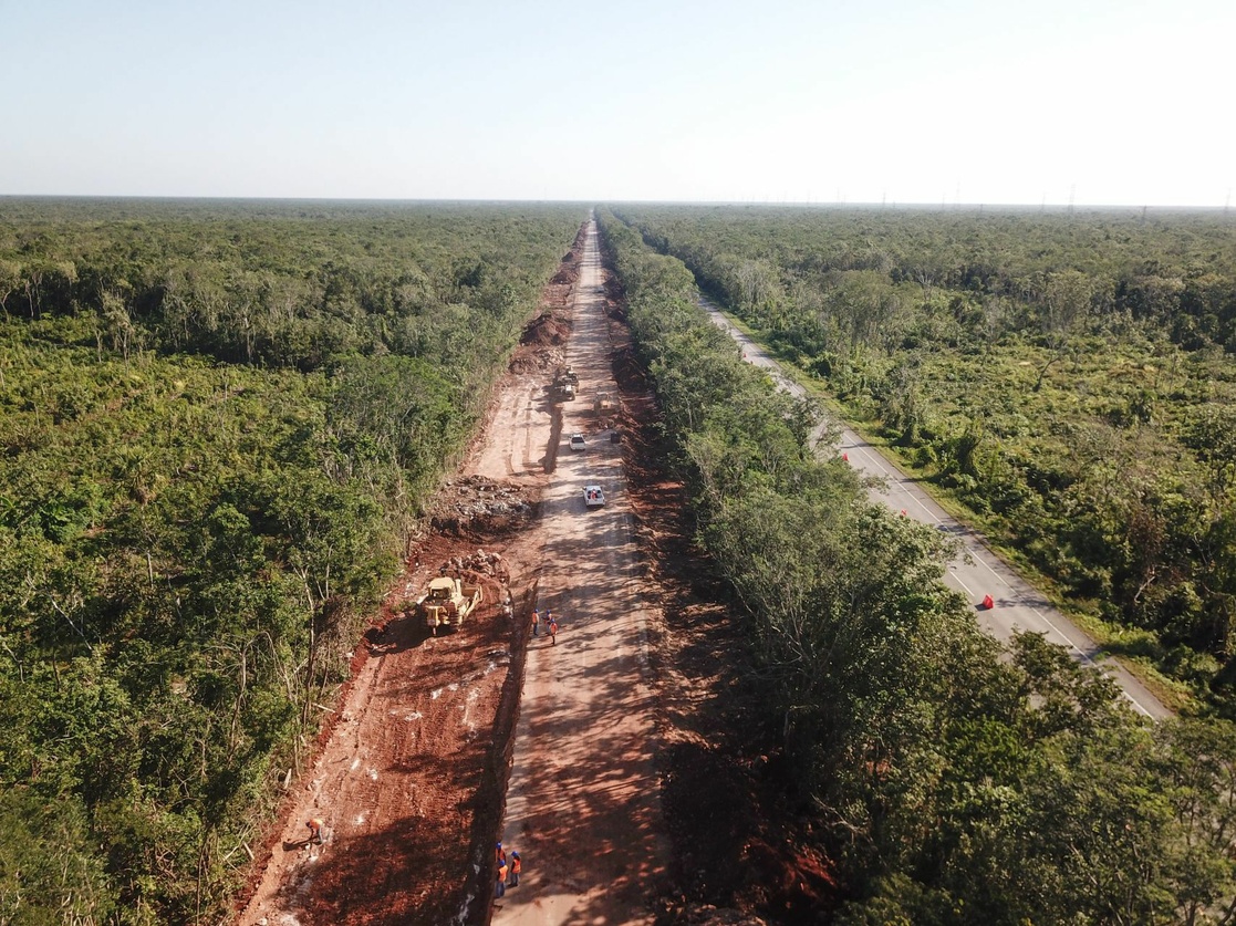 La Jornada - Desmiente Fonatur tala de 20 mil árboles en Playa del Carmen