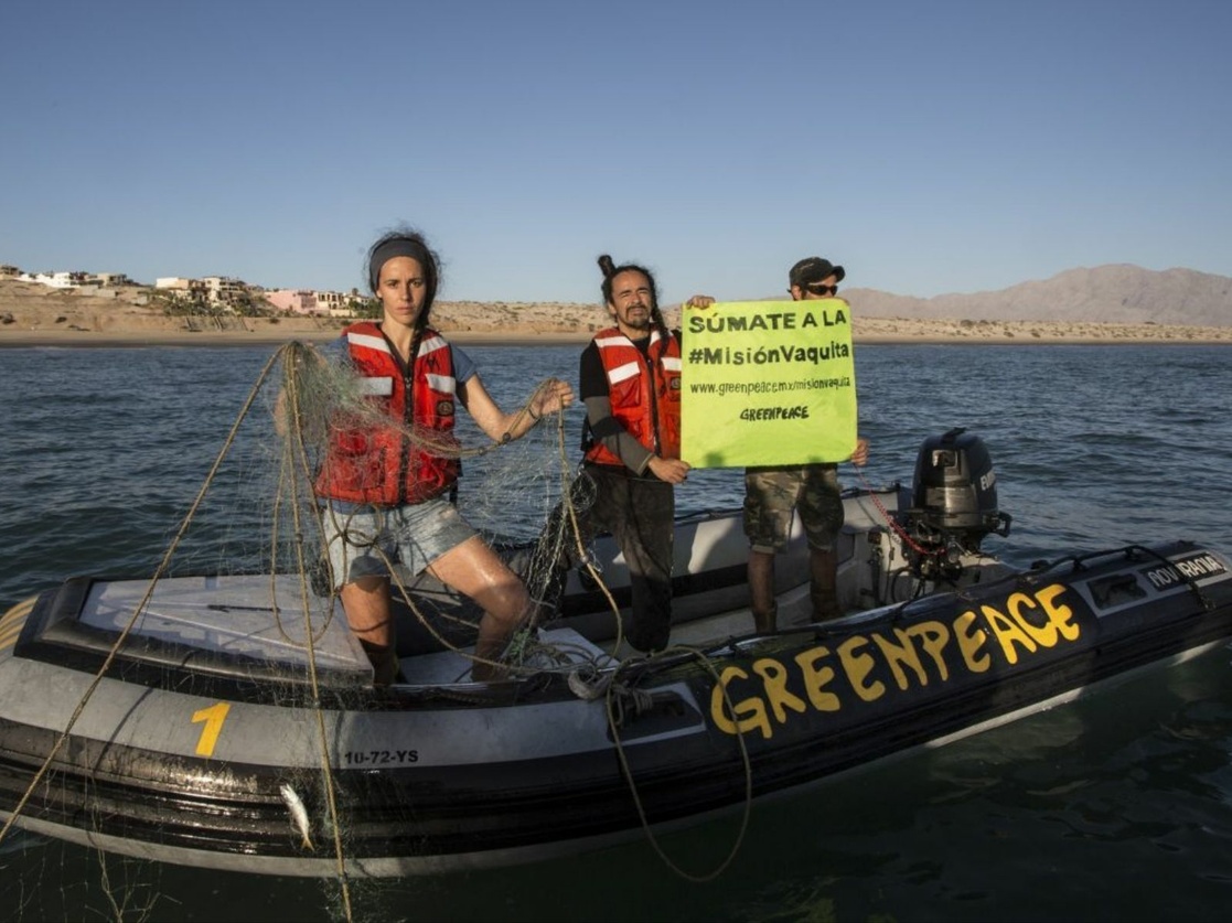 La Jornada Greenpeace Tramita Amparo Contra Desaparici N De Fideicomisos