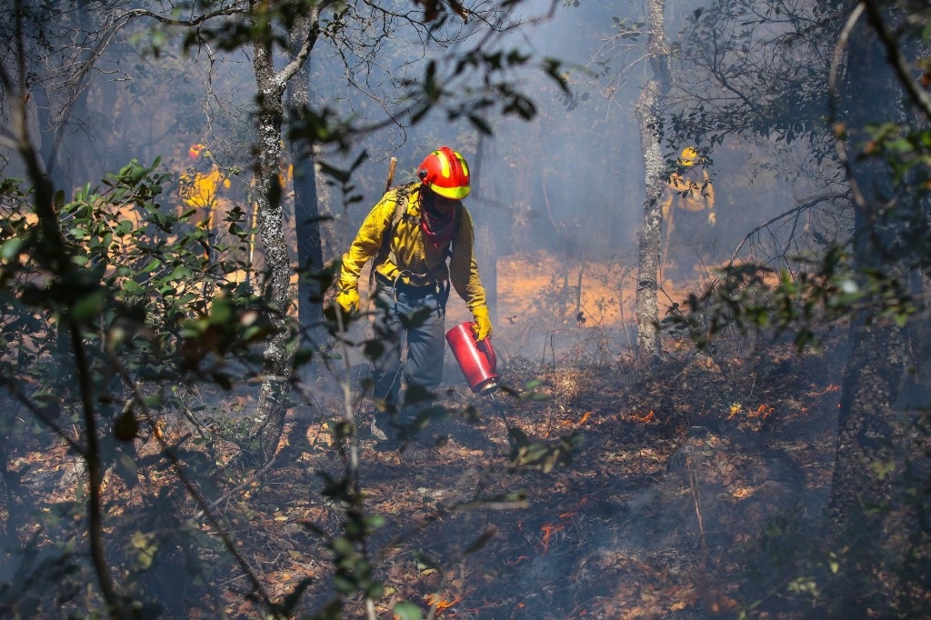 La Jornada Hay 69 Incendios Forestales Activos En 18 Estados Conafor