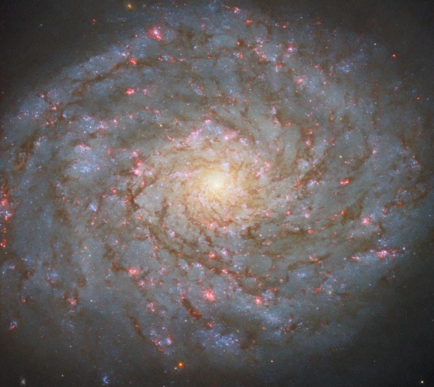 Hubble captures spiral galaxy NGC 4689