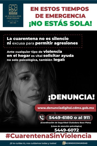 cartel de violencia domestica