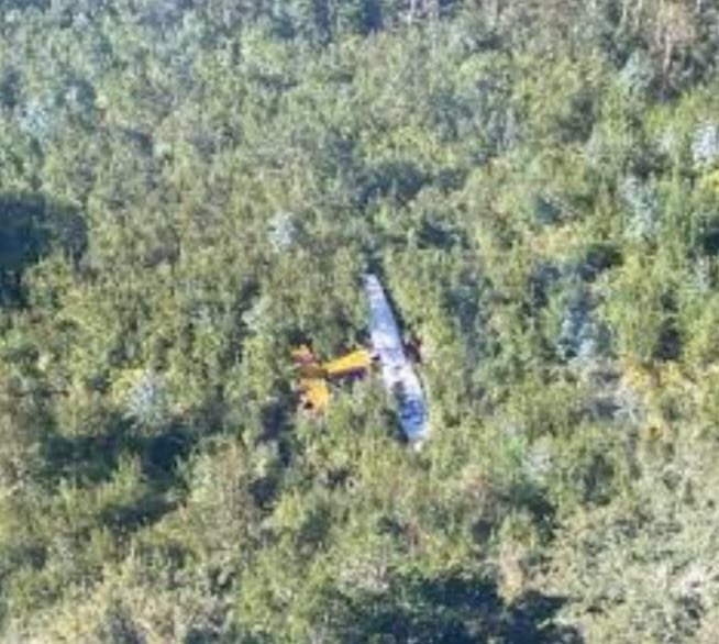 Seven people die when a small plane crashes in southern Chile