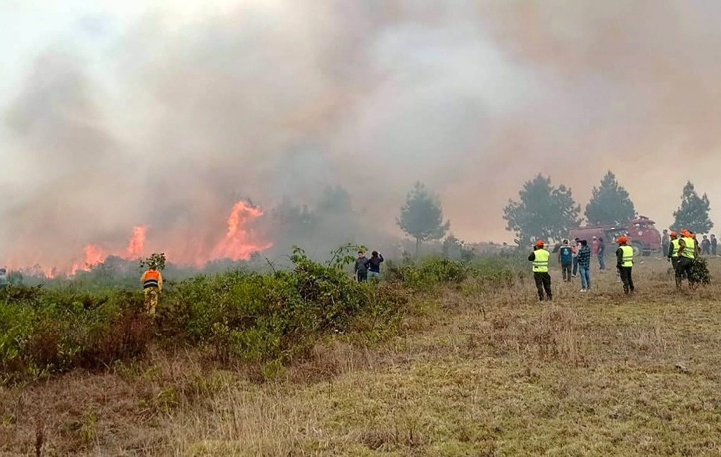 Peru declares emergency in three jungle regions due to fires