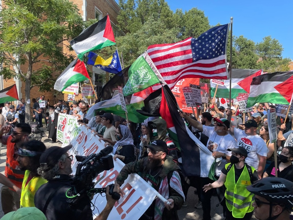 Pro-Palestine protests during Democratic National Convention