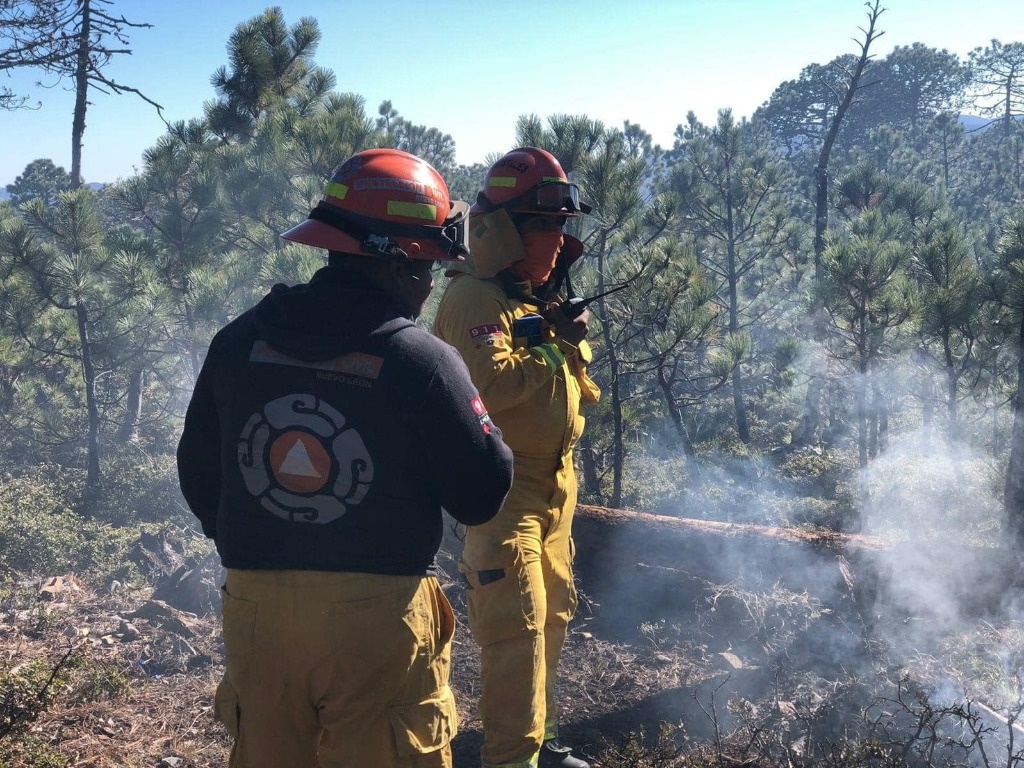 La Jornada Reportan Un Incendio Forestal En Sierra De Iturbide En Nl 7600